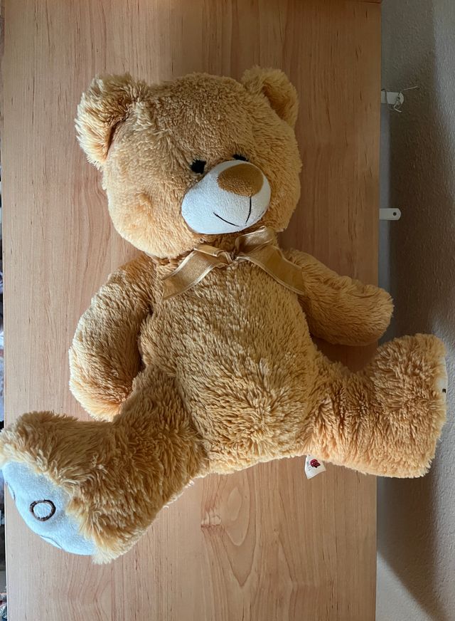 Oso de peluche marrón suave