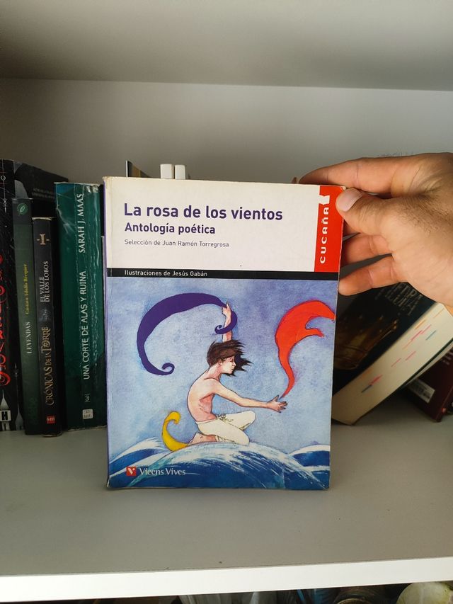 La rosa de los vientos Analogía poética