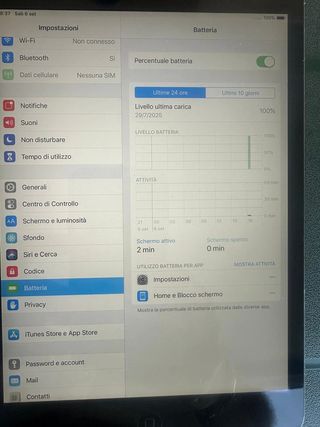 iPad mini Wi-Fi + Cell 16GB Grigio Siderale