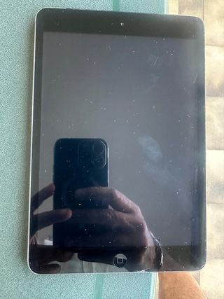 iPad mini Wi-Fi + Cell 16GB Grigio Siderale