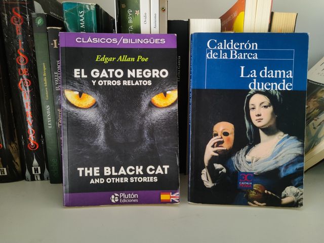 El gato negro y otros relatos La dama duende