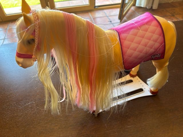 Nancy jinete con caballo rosa