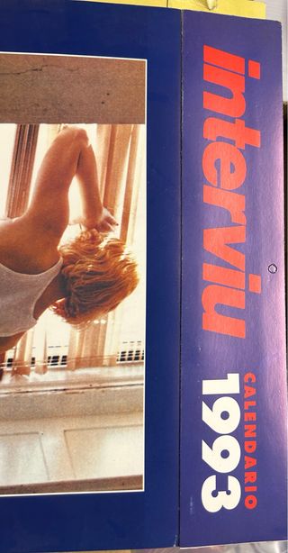 Calendario Interviu Madonna 1993