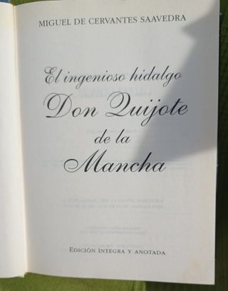 DON QUIJOTE DE LA
