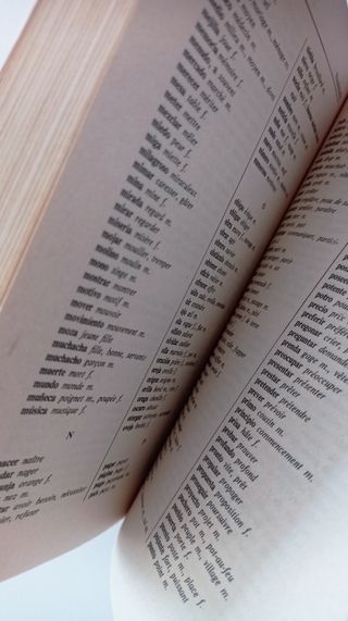 LIBRO FRANCÉS -GRAMÁTICA DE LA LENGUA FRANCESA 