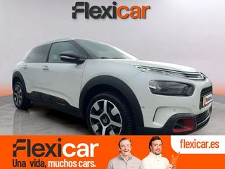 Citroën C4 Cactus PureTech 96kW (130CV) S&S Shine
