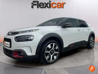 Citroën C4 Cactus PureTech 96kW (130CV) S&S Shine