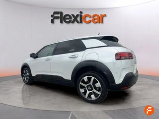 Citroën C4 Cactus PureTech 96kW (130CV) S&S Shine