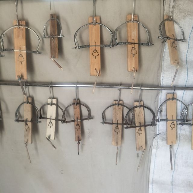 Ballestas artesanales 