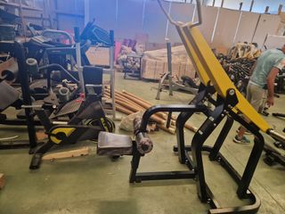 Máquina Remo Dorsal Palanca Gym
