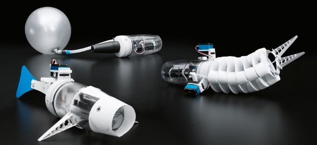 Kit Festo Bionics Educación