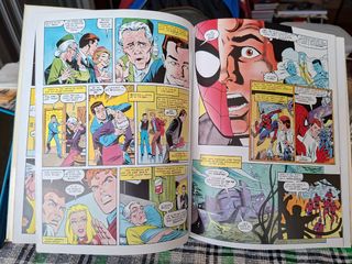 SPIDERMAN: VIDAS PARALELAS