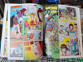 SPIDERMAN: VIDAS PARALELAS