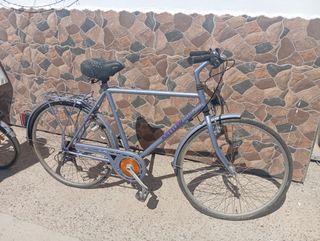 Bicicleta Paseo 28 Gris
