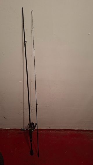 Caña de pescar acción hasta 5g Con carrete 