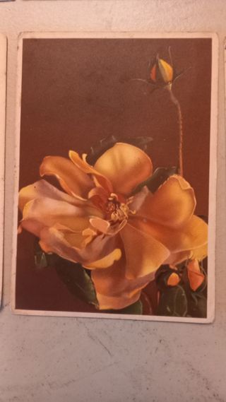 Cartoline tematiche fiori