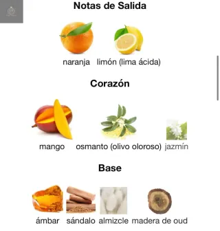 Perfume Ajayeb Dubai Dorado Nuevo