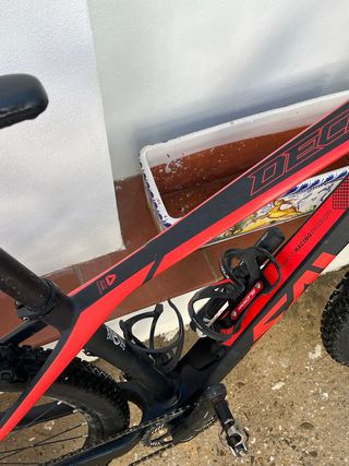 Bicicleta SAVA RECOGIDA EN MANO