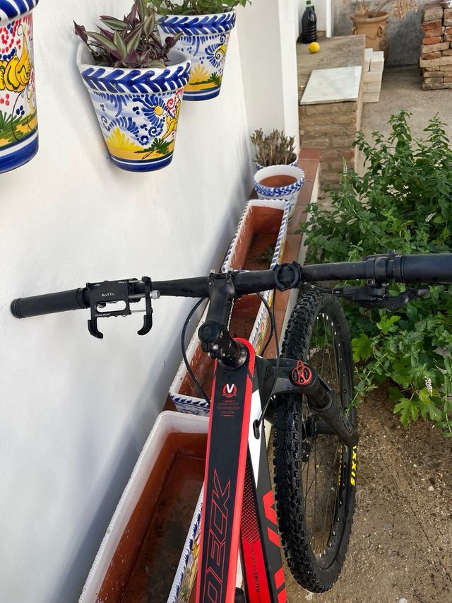 Bicicleta SAVA RECOGIDA EN MANO