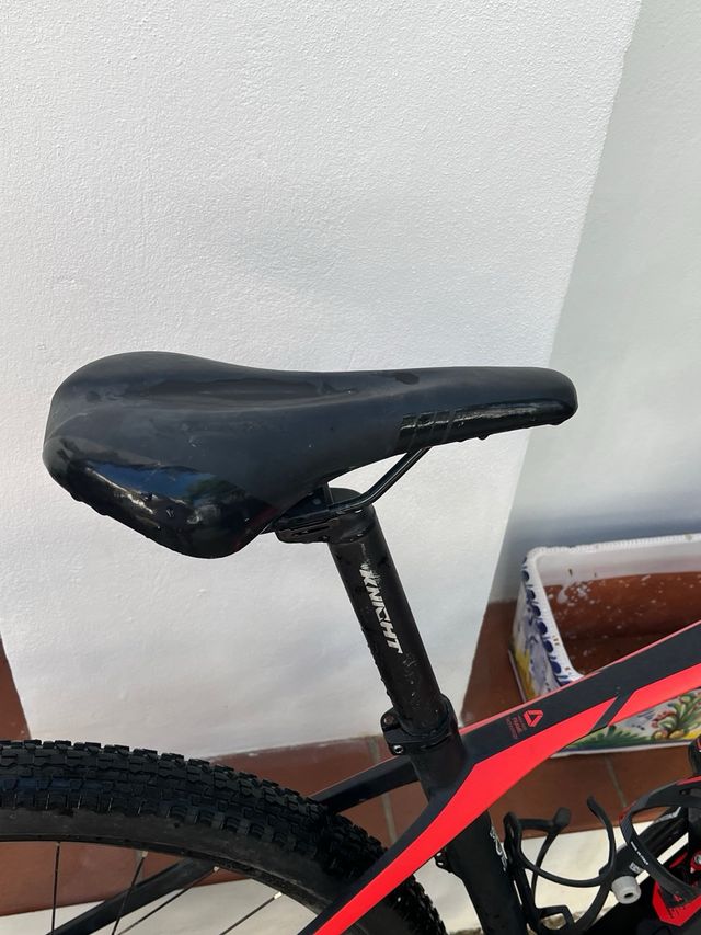 Bicicleta SAVA RECOGIDA EN MANO