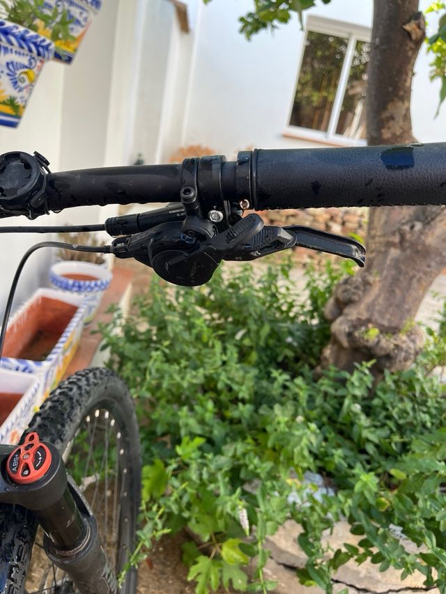 Bicicleta SAVA RECOGIDA EN MANO