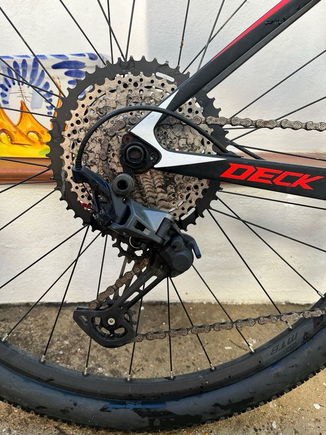 Bicicleta SAVA RECOGIDA EN MANO