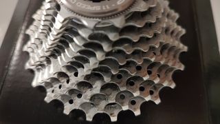 Pacco Pignoni Campagnolo