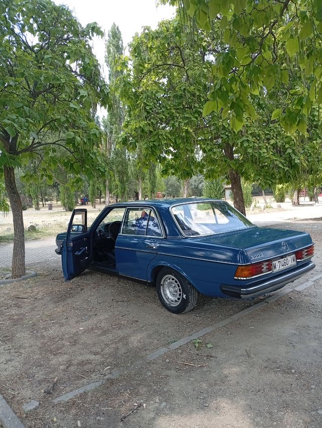 Mercedes Benz w123 300d 1981
