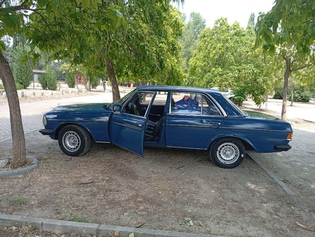 Mercedes Benz w123 300d 1981
