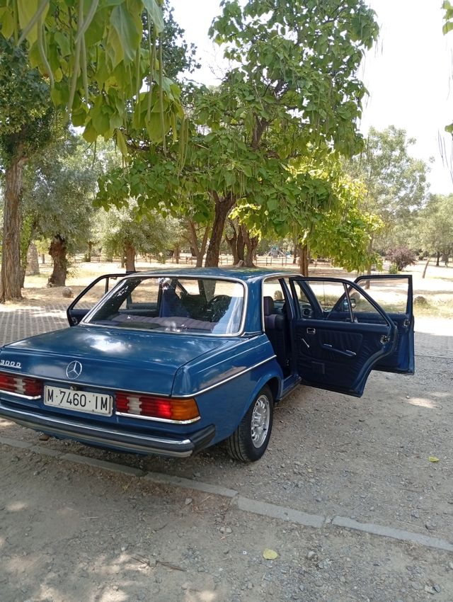Mercedes Benz w123 300d 1981
