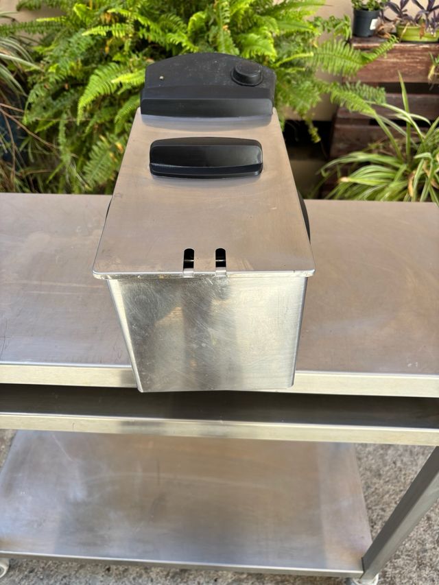 Freidora Eléctrica Acero Inoxidable