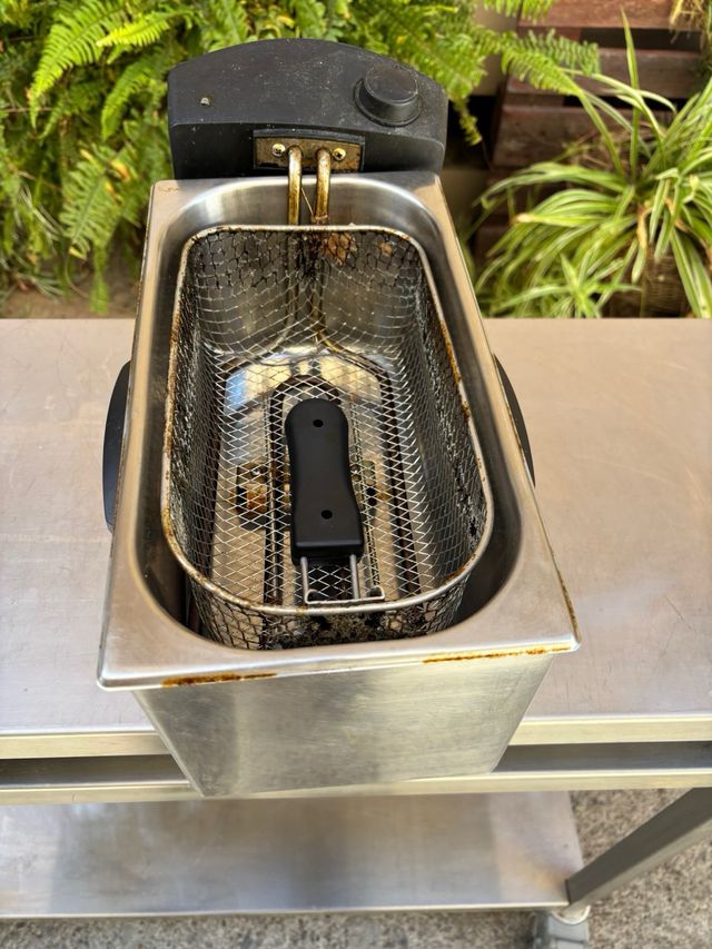 Freidora Eléctrica Acero Inoxidable