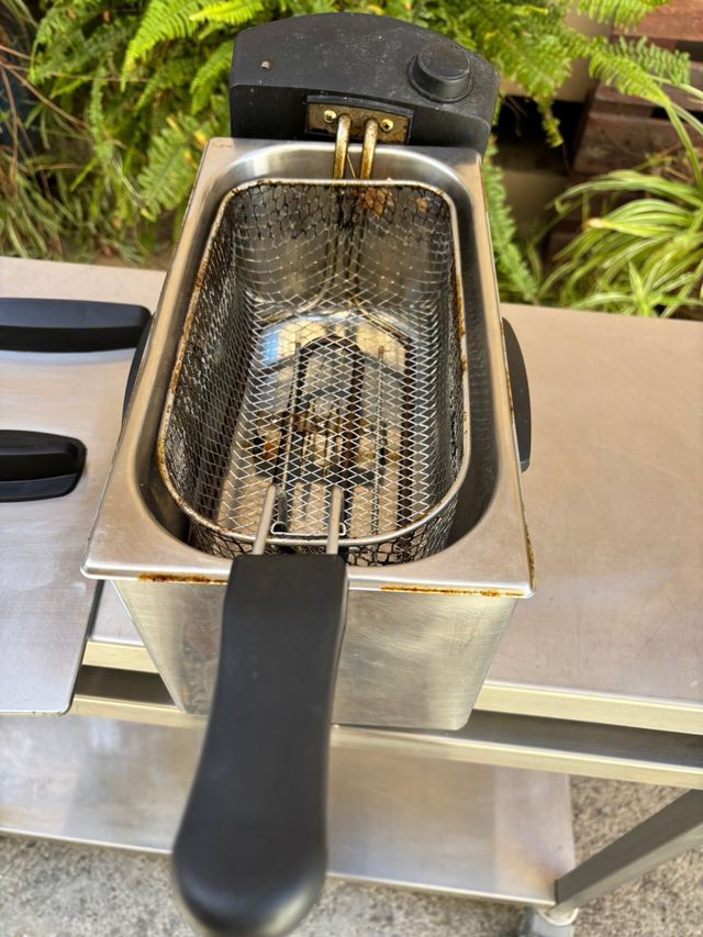 Freidora Eléctrica Acero Inoxidable