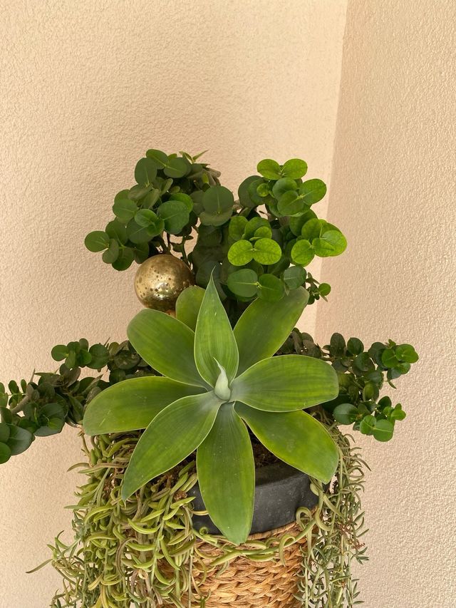 Ramo de plantas variadas sin madera de mimbre