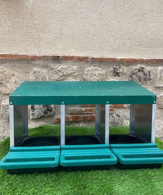 Ponedero de gallinas 3 plazas