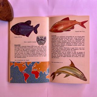 Allan Cooper - I Pesci - Prima edizione Mondadori