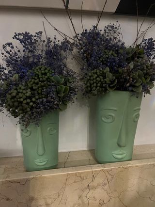 2 Vasos Decorativos Rostro Flor Seca