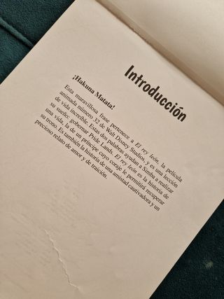 Arteterapia, El Rey León de Disney, antiestrés. 