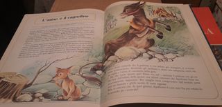 LOTTO LIBRI ILLUSTRATI VINTAGE FIABE FAVOLE BIMBI
