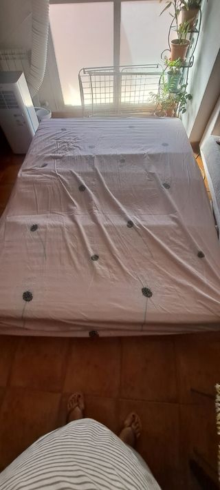Sofá Cama Tela Azul y Gris