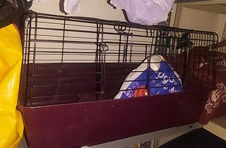 Jaula para conejo negra y morada