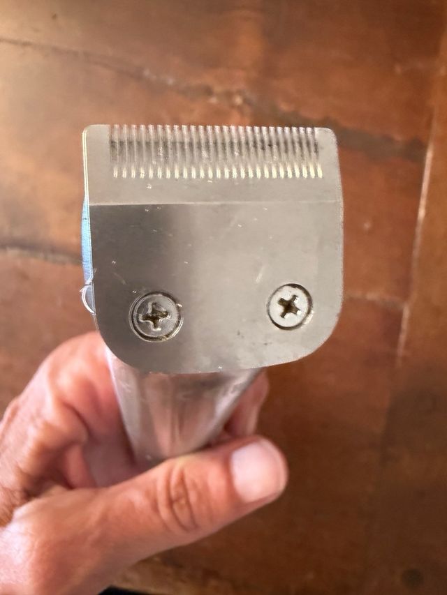 Trimmer Wahl cordless argento