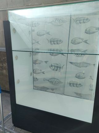 Vitrina expositora con 12 focos de  luces led