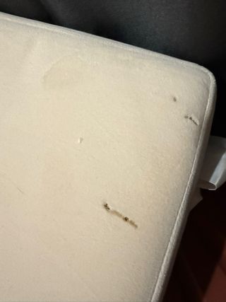 Banco tapizado en blanco terciopelo