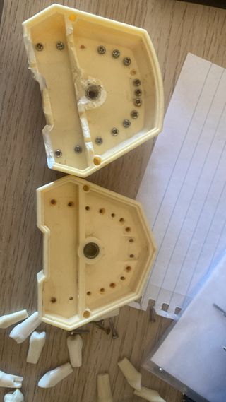 Tipodonto Frasaco Dental