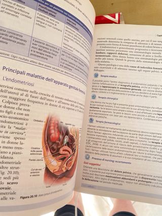 Il manuale dei concorsi per infermiere. Guida c...