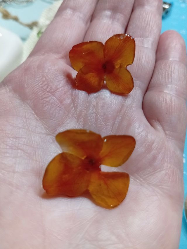 Pendientes Flor Natural Resina Naranja