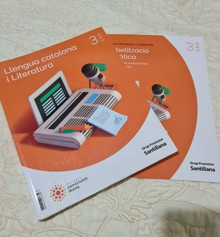 LLENGUA CATALANA I LITERATURA 3 SEC CONSTRUINT ...