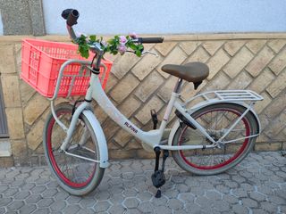 Bici holandesa Amsterdam 22" marca Alpina niños