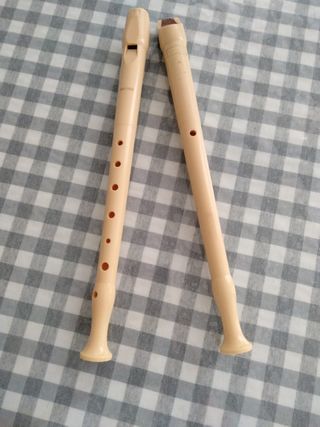Flauta Hohner,6 euros las dos